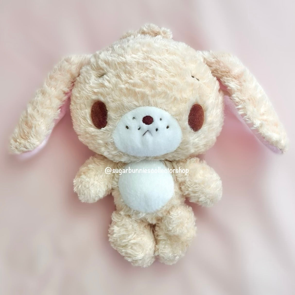 Latteusa Plush