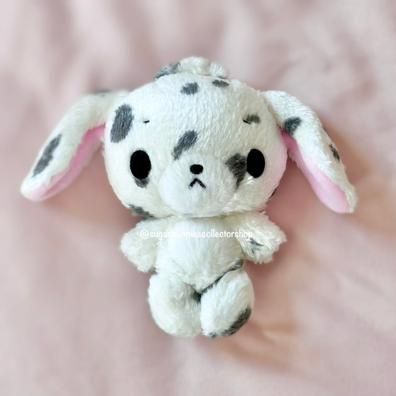 Buchiusa Mascot