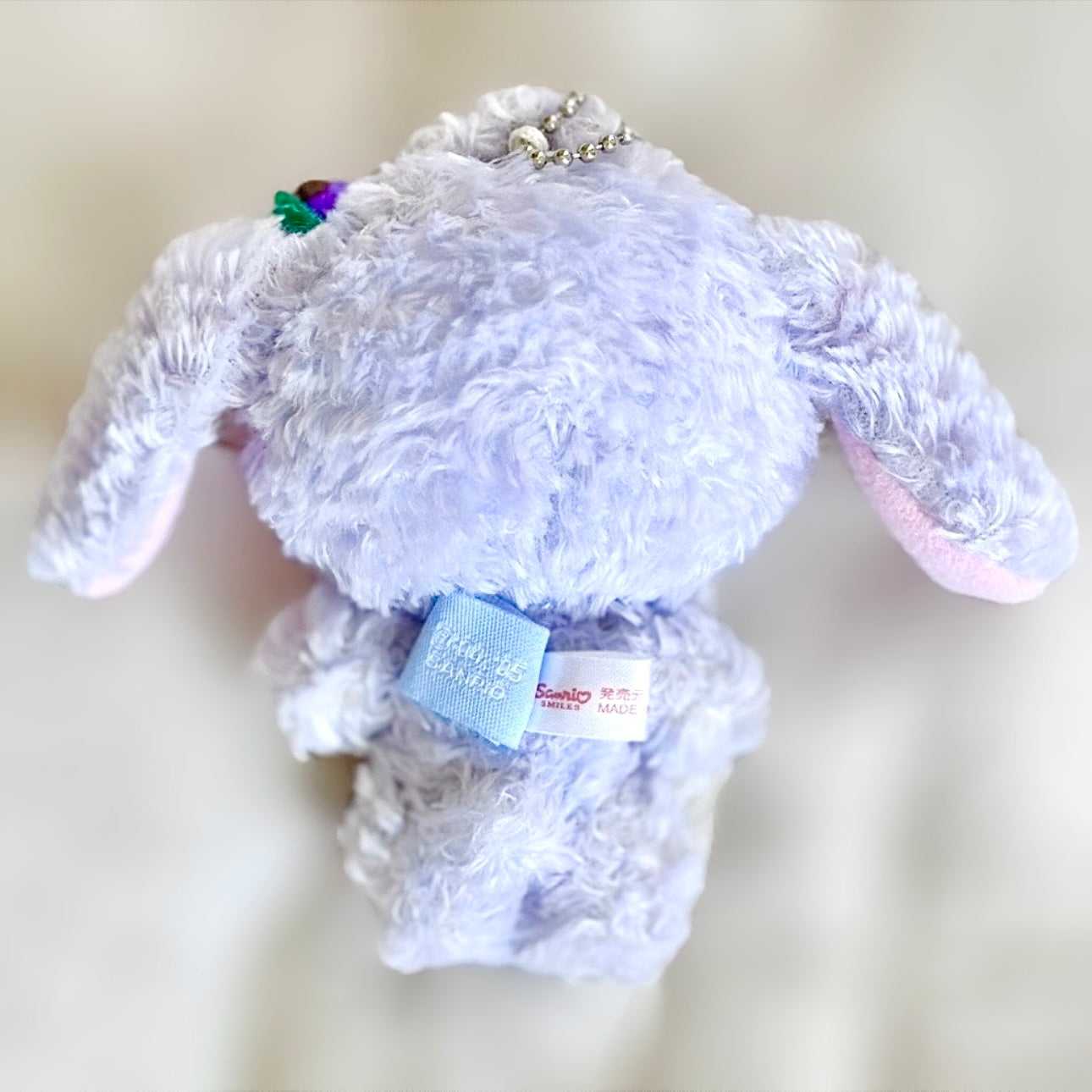 Blueberryusa Mascot