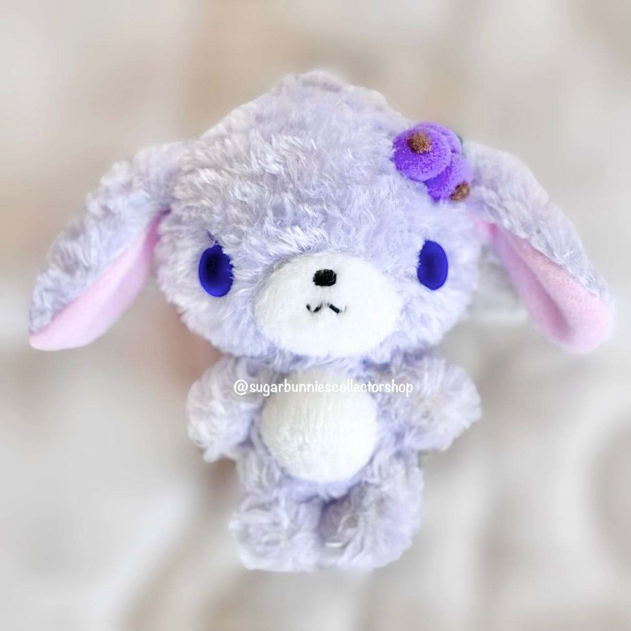 Blueberryusa Mascot